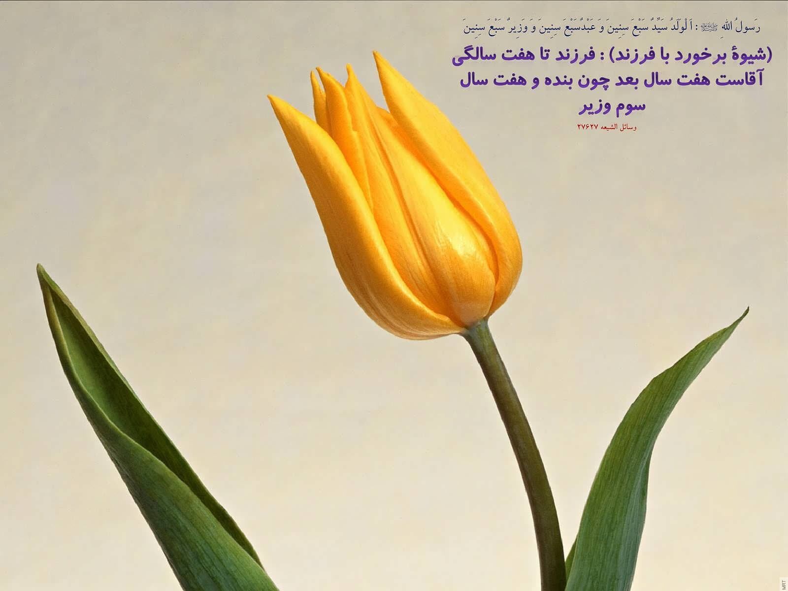 15 حدیث زیبا از پیامبر اسلام حضرت محمد (ص) به صورت متن و عکس نوشته - مجله آبی
